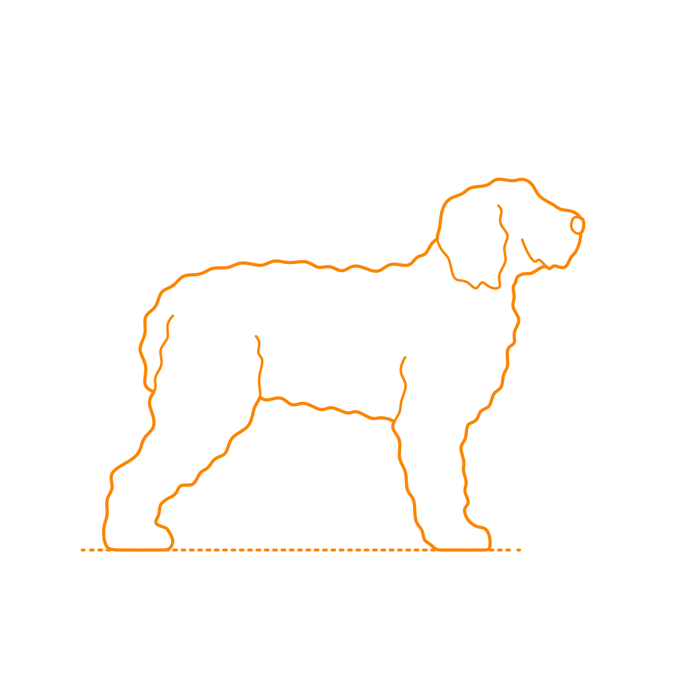 Animals Dogs Barbado Da Terceira Svg Line Art Free Vectors
